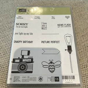 Pun intended - Stampin’Up! 3 for $35